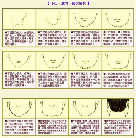 面相 下巴長|面相分析下巴长的人